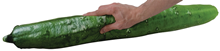 Giant Plush Cucumber 
