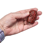 Fake Medjool Dates, Pk.10 