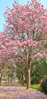 Blossom Tree Banner - 90 x 180cm 