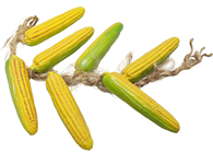 Plait of Corn-on-the-Cob, Slight Second 