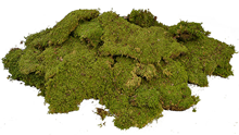 Premium Quality Flat Moss Pieces 