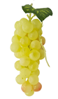 Green Decorative Grapes - 18cm 