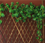 Green Leaf Garland 2.4M Pk.6 