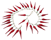 Fake Dried Chilli Garland, Pk.4 