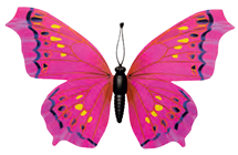 Pink Butterfly - 30 x 20cm 