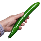 Small Fake Cucumber 