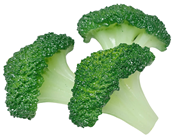 Artificial Broccoli Florets 