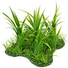 Small Grass Square 