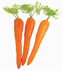 Carrot with Leaf - 18cm Pk.3