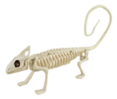 Chameleon Skeleton 