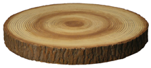 Log Slice 