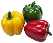 Set of 3 Bell Peppers 