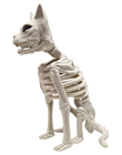 Sitting Skeleton Cat 