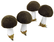 Dark Brown Velvet Mushroom on Clip -%2 