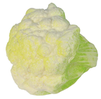 Plastic Cauliflower 