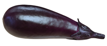 Artificial Aubergine 