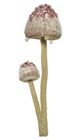 Pink/Cream Hanging Fantasy Mushroom Group 