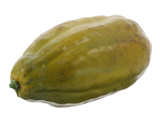 Artificial Cocoa Pod - Green 