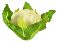 Cauliflower with Leaves 
