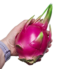 Artificial Dragon Fruit 