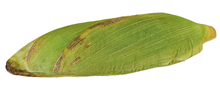 Giant Plush Corn-on-the-Cob 