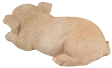 Sleeping Piglet 