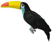 Yellow and Turquoise Toucan 