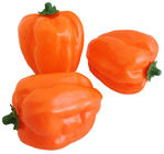 ORANGE PEPPER, PK.3 