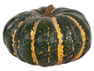 Green Pumpkin - 23cm 