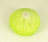 GREEN CABBAGE 