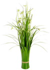 Freestanding Grass with Cream Flowers 