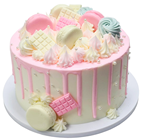 Pastel Decorated Party Cake 