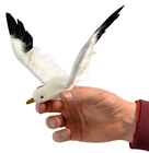 Seagull in Flight - 25 x 14cm 