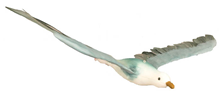 Blue-Grey Flying Seagull - 60 x 30cm 