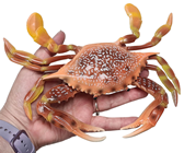Crab, Lobster and Prawn Set 