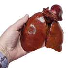 Fake Goose Offal - Heart & Liver 