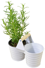 Planter Buckets 