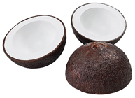 Coconut Half 