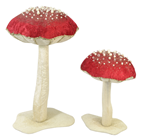 Red Winter Mushroom - 25cm 