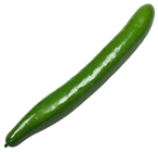Small Fake Cucumber 