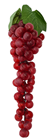 Red Decorative Grapes - 30cm 