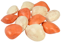 Assorted Plastic Shells - Pk.12 