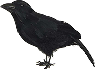 Standing Crow - Length 23cm