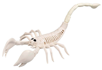 Scorpion Skeleton 