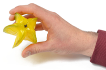 Starfruit Carambola 