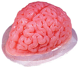 Brain Mould 