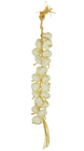 Garlic Plait - 60cm 