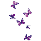 Violet Butterflies with Clip - 11cm Pk 