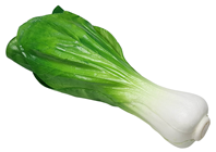 Fake Bok Choy Chinese Cabbage 