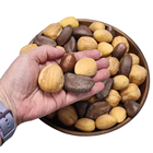 Life-Like Mixed Nuts in Wooden Bowl 